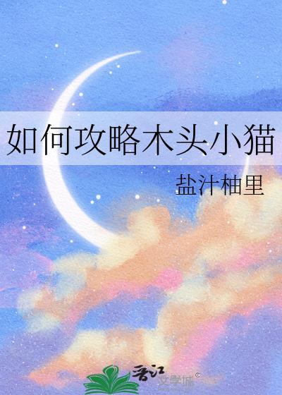 木头猫工作室