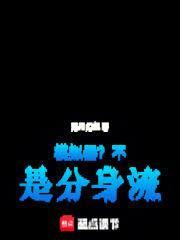 模拟器?不!是分身流洛月幻华