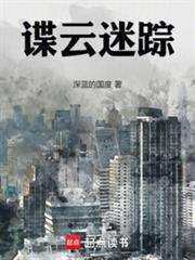 谍云迷踪免费