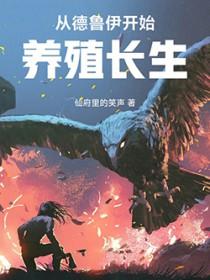 穿越德鲁伊