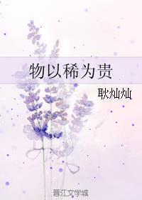 物以稀为贵情因老更慈什么意思