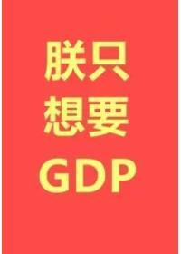 朕只想要gdp 无防盗