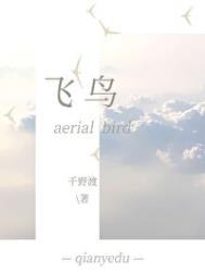飞鸟造句