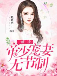 一婚二宝帝少宠妻无节制TXT