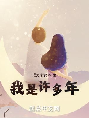 四合院 我是许大茂