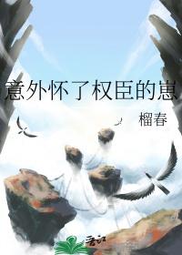 意外怀了权臣的崽作者榴春