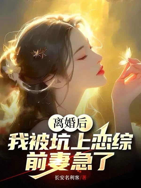 在离婚以后by