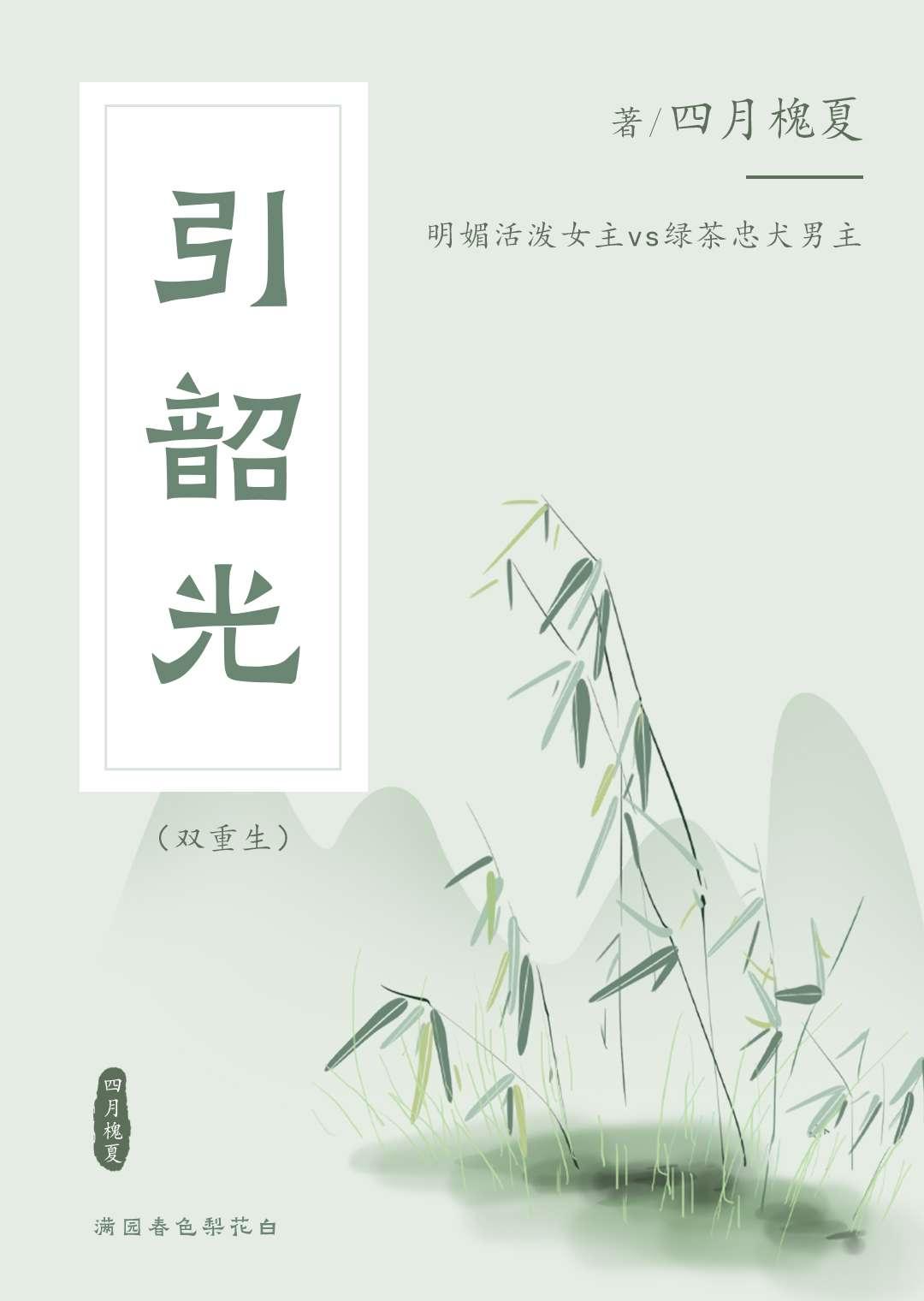 双重生佐鸣韶光8