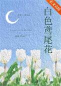 白色鸢尾花的寓意和象征