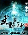 武动乾坤电子书 全本