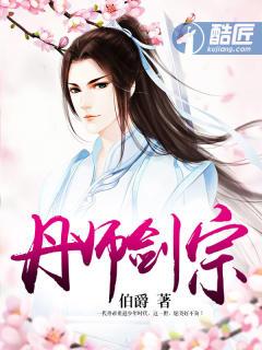 丹师剑宗全集完整版