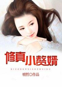 修真赘婿在都市