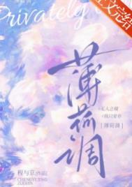薄荷吻讲的什么