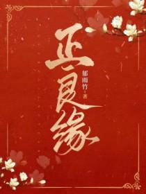 正良缘免费无弹窗