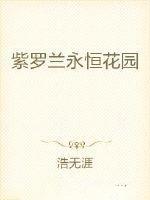 紫罗兰永恒花园内容简介