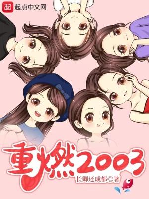 重燃2003TXT奇书网