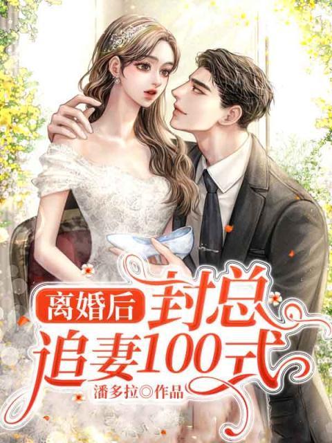 封总追妻100式