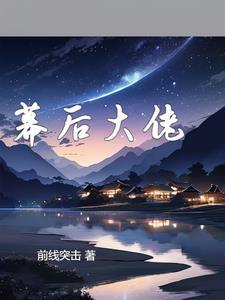 幕后大佬的意思