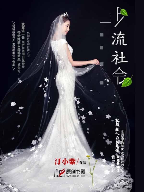 上流社会全文在线阅读