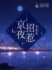 京夜招惹苏子欢免费阅读