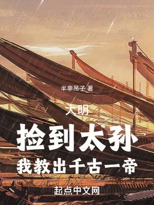 大明捡到太孙我教出千古一帝易言阁