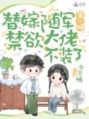 替嫁将军