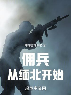 我在缅北当佣兵TXT八零