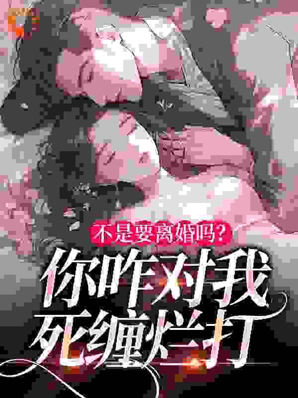 不是要离婚吗?你咋对我死缠烂打免费阅读