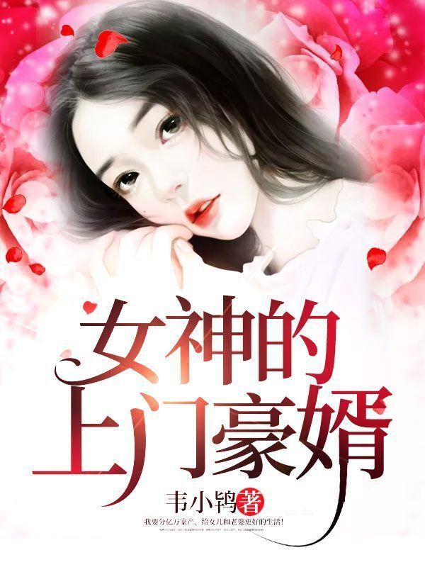 女神的上门豪婿免费收听