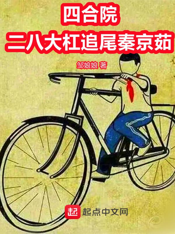 四合院暴打杠杆