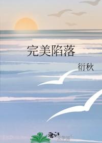 完美陷阱