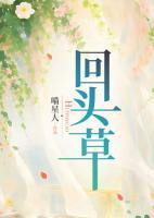 白苏傅云霄全文阅读