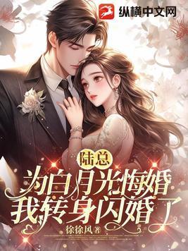 我转身闪婚了236章237