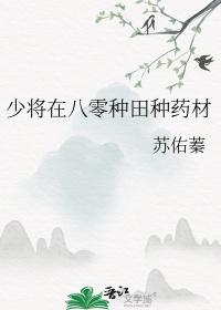 少将在八零种田种药材苏佑秦