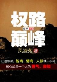 权路巅峰陆皓最新全文免费版