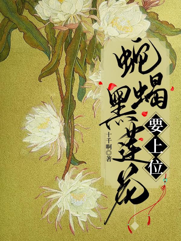 黑莲花上位手册