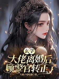 玄学大师离婚