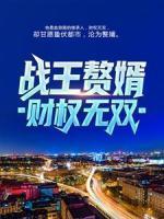 叶天倾全集