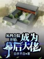 何雨柱秦淮茹飞卢