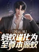 叶辰龙婿免费全文阅读完整版