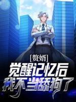 叶无锋全文免费阅读