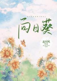 向日葵什么季节开花