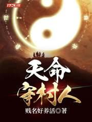 天命守村人全集完整版