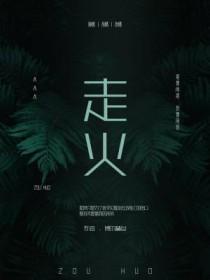 走火TV版电视剧第40集免费观看完整版