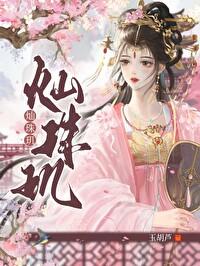 灿珠玑TXT资源