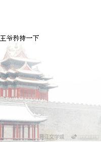 寡妇的春天有哪些书