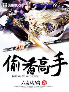 偷香高手无删减TXT