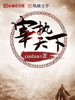宰执天下写完了吗