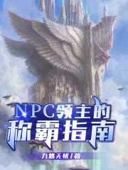 npc领主的称霸指南