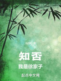 知否我是徐家子百度百科